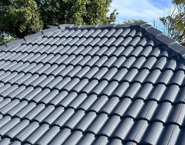 roof painting