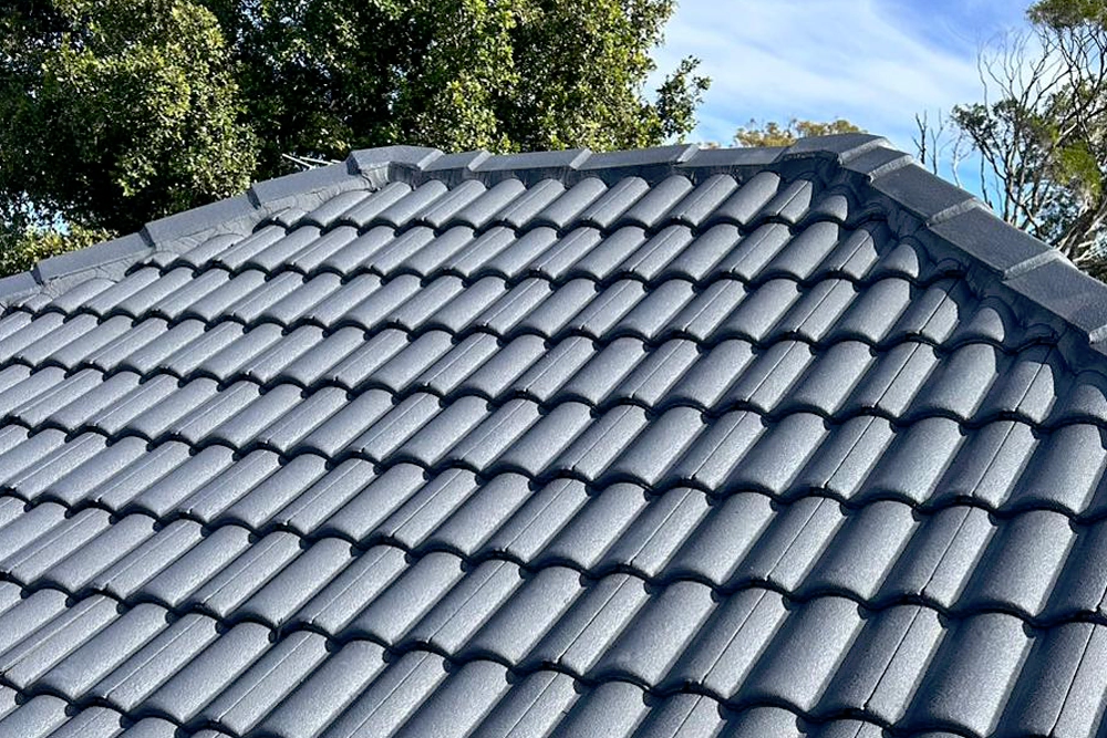 Roof Painting